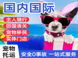 乌鲁木齐空运代理国际宠物托运 【国